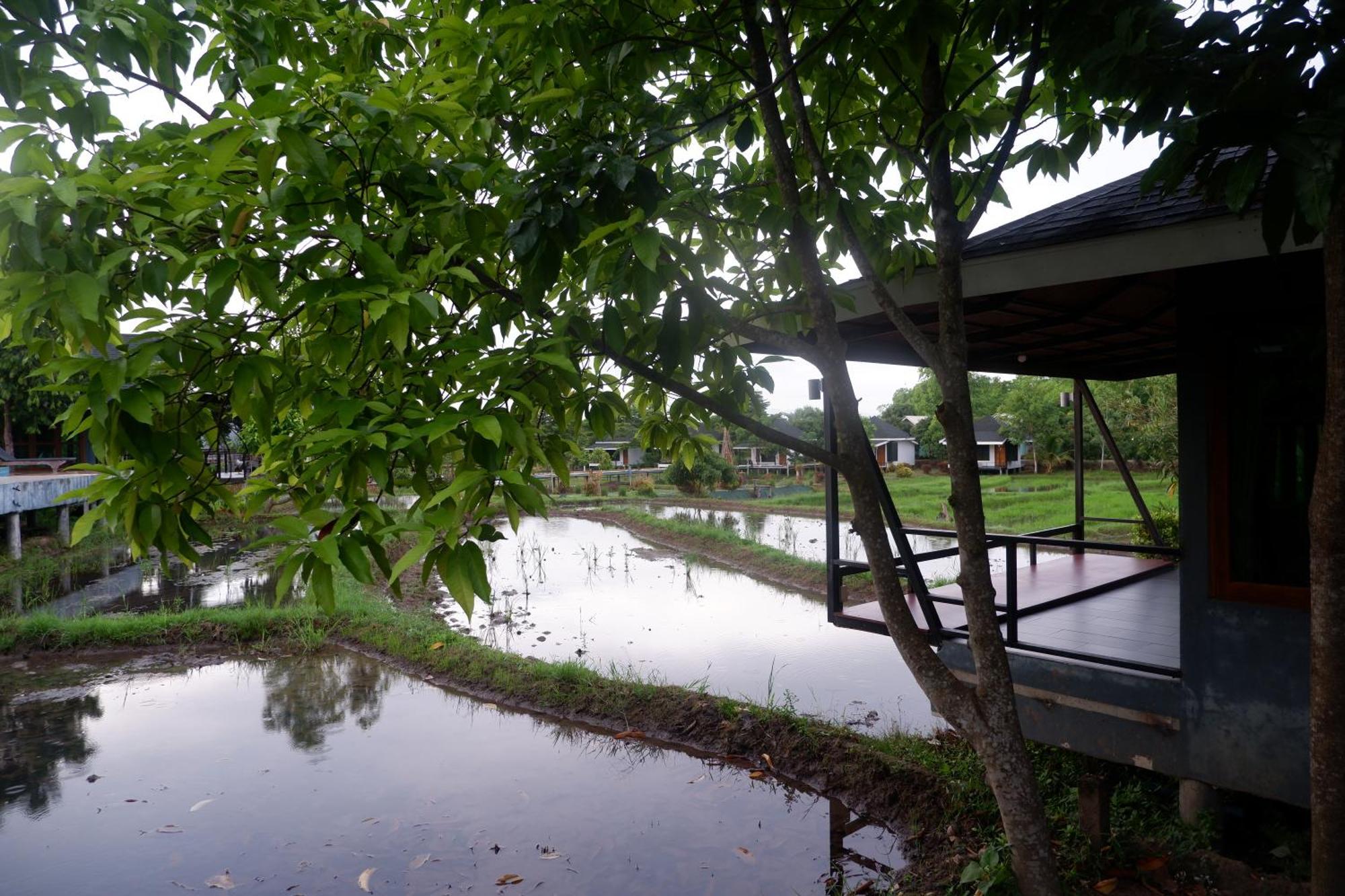 Nok Chan Mee Na Chom Thong Exterior foto